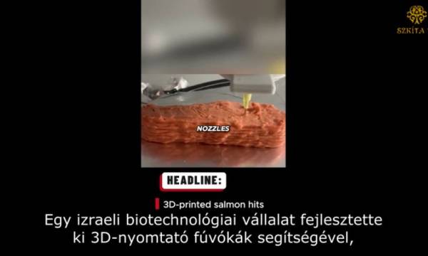 3D nyomtatott lazac