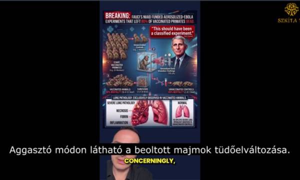 Fauci naplójából: Ebola kísérlet majmokon