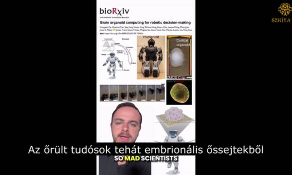 Agybot