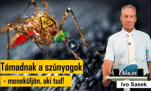 Támadnak a szúnyogok - meneküljön, aki tud! (A Kla.TV alapítójától, Ivo Sasektől)